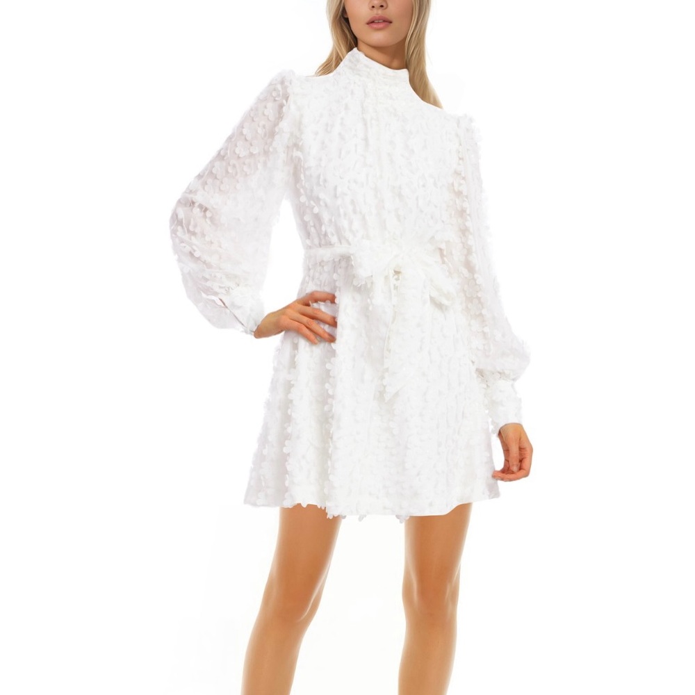 Eleanor Floral Applique Long Sleeve White Mini Dress